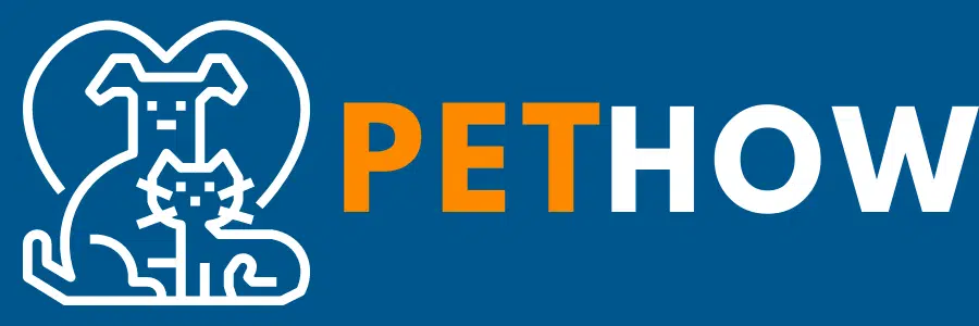 Lean About Dog, Cats and Other Animals