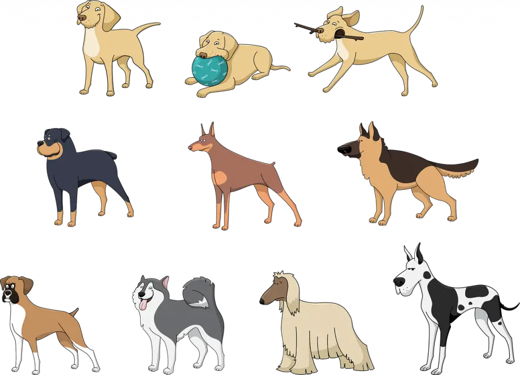 different dog breed