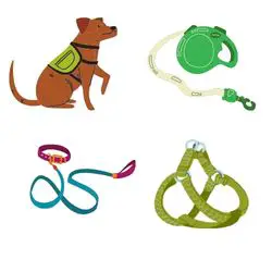 dog leashe and harness