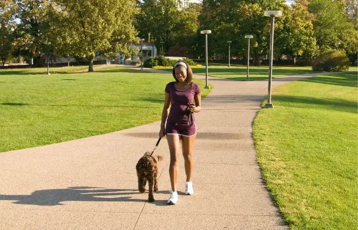 dog waliking on pavement by women