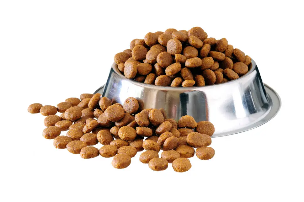 best-cheapest-dog-food-brands-a-comprehensive-review