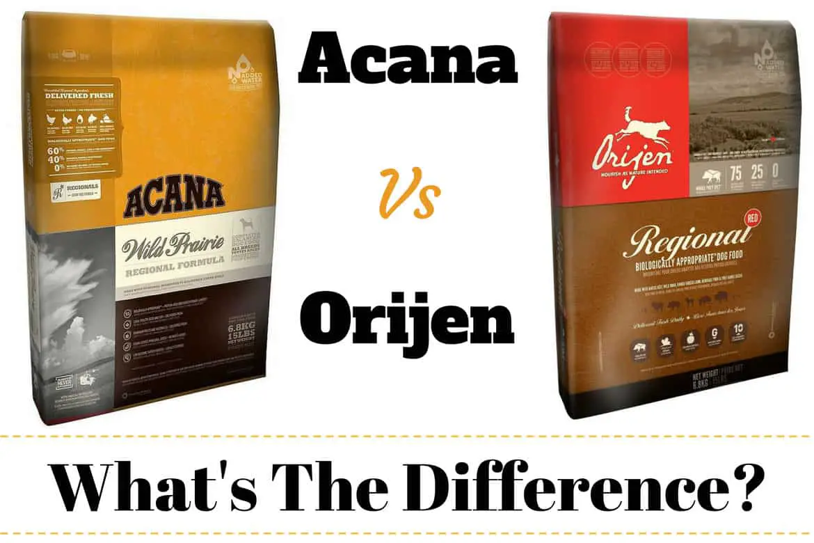 Orijen Vs Acana Dog Food Comparison