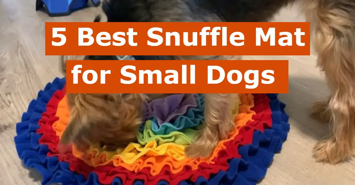 5 Best Snuffle Mat For Small Dogs (Hidden Dog Feeding)