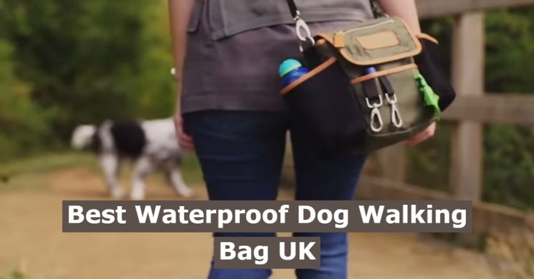 best waterproof dog walking bag UK
