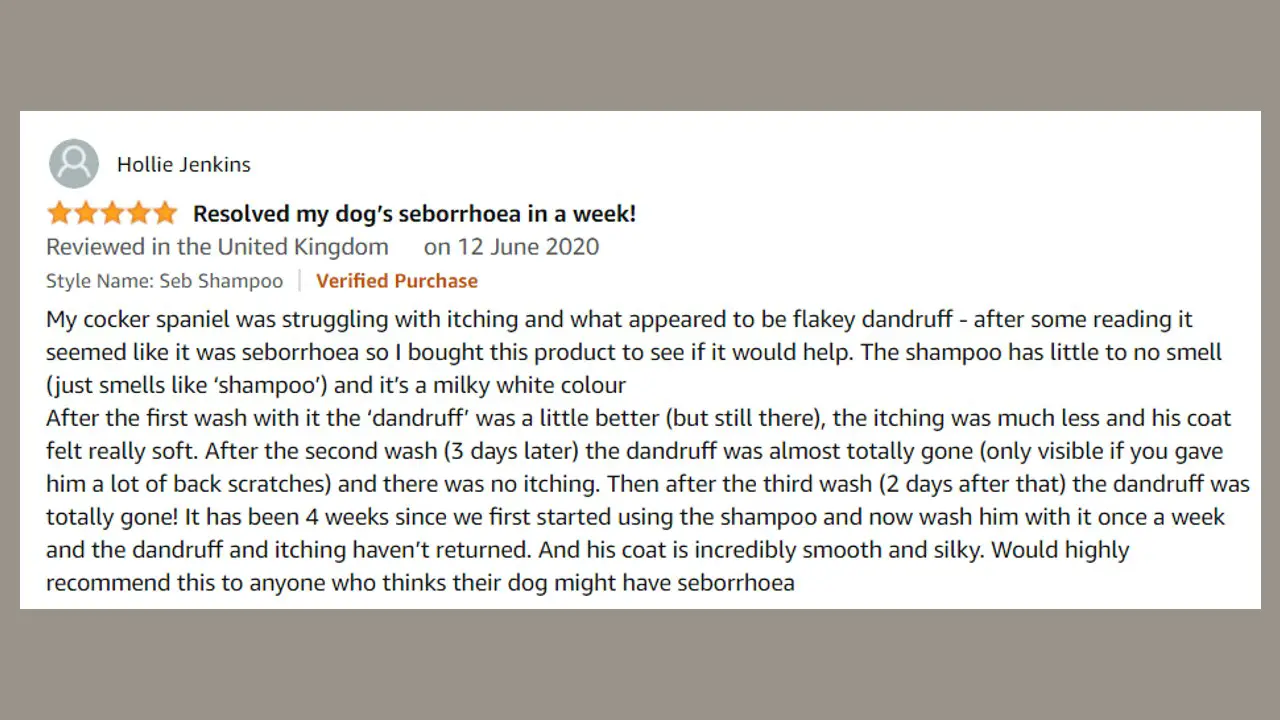 5 Best Dog Dandruff Shampoo UK (Say Goodbye To Dandruff)