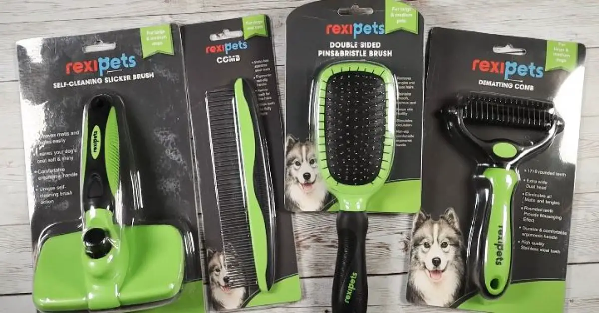 7 Best Professional Dog Grooming Brushes (According To Groomers)
