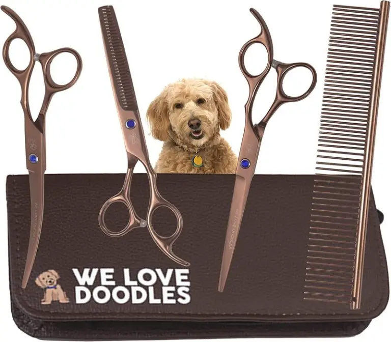 5 Best Grooming Scissors For Cavapoo (Tested By Groomers)