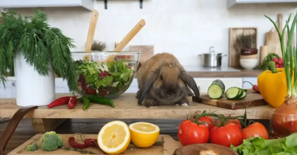 What Can Rabbits Not Eat? (9 Foods To Avoid)