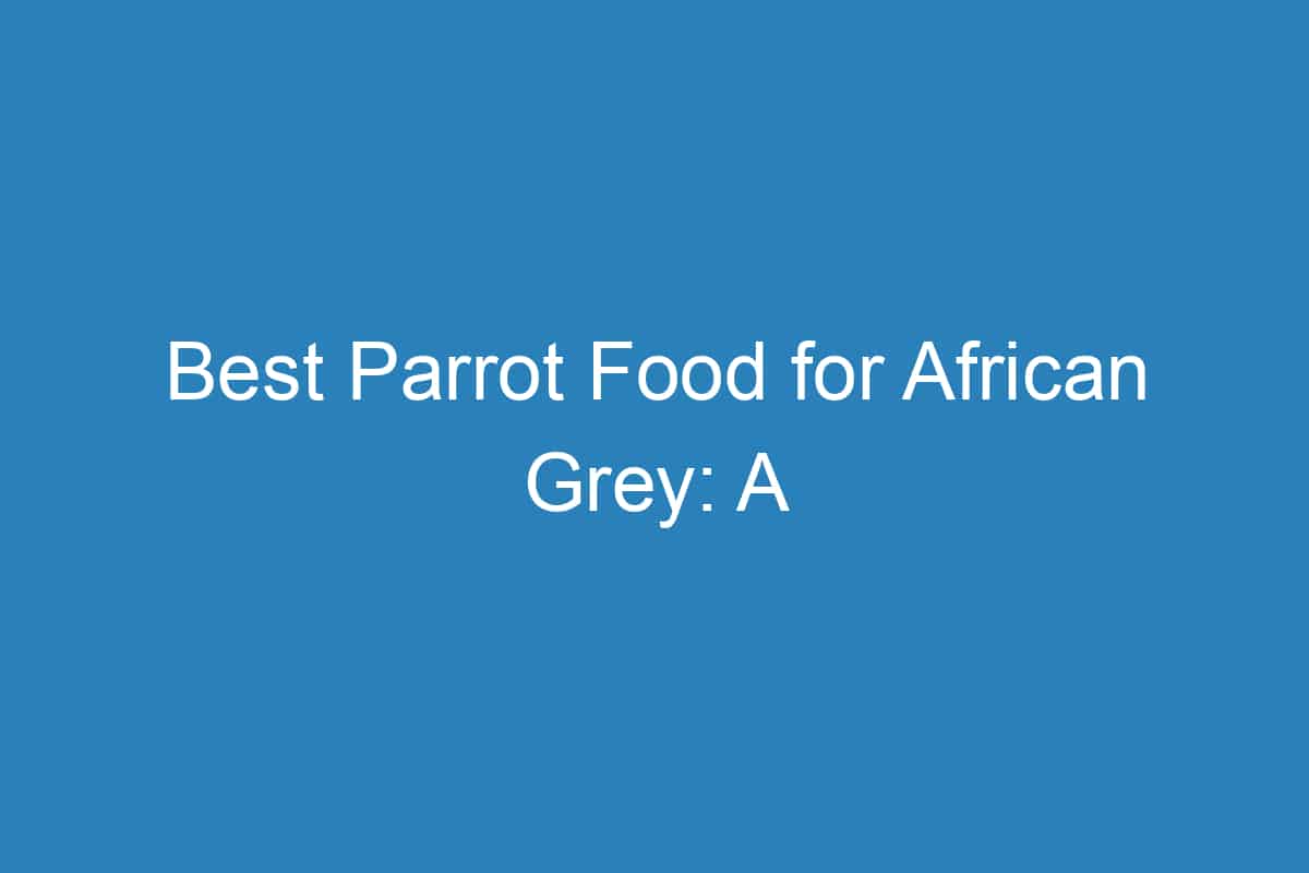 Best Parrot Food For African Grey A Comprehensive Guide