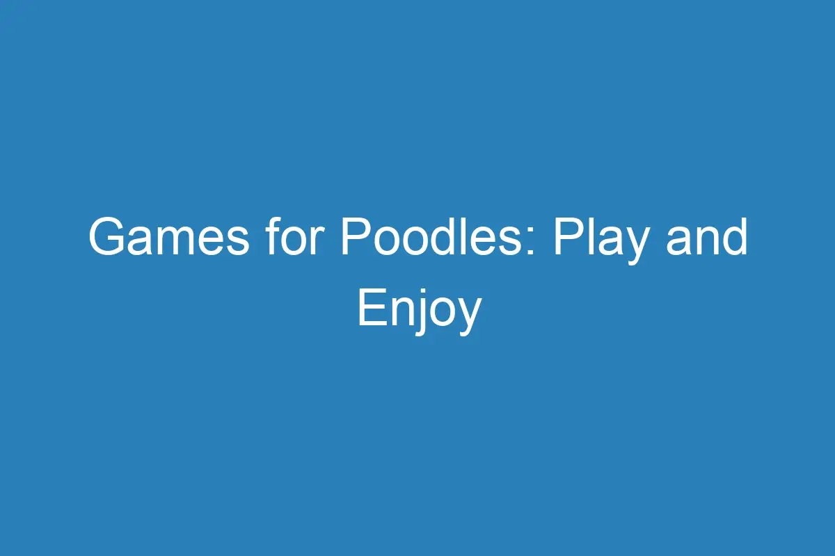Games For Poodles Play And Enjoy