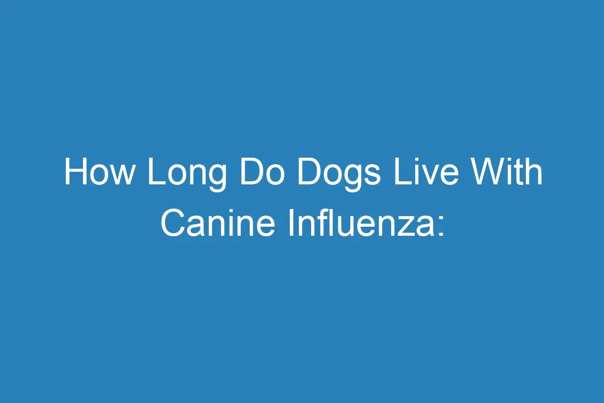 How Long Do Dogs Live With Canine Influenza (Symptoms, Tratment, And