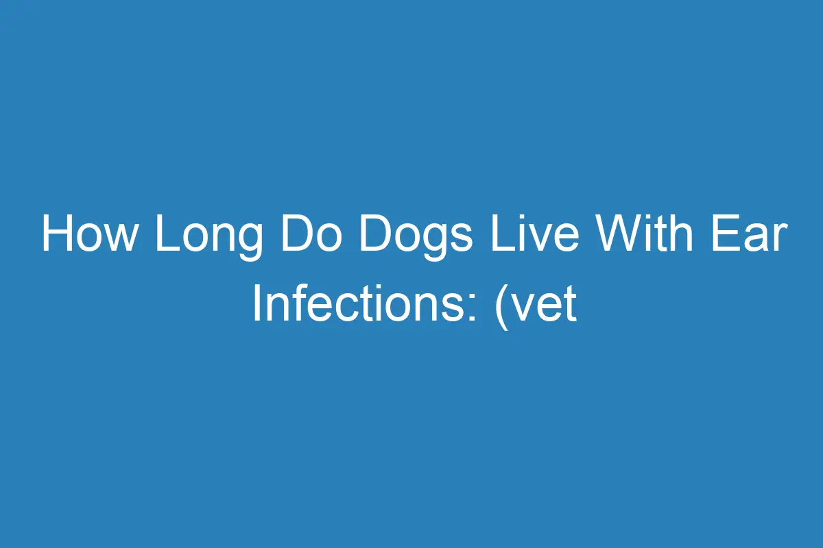 How Long Do Dogs Live With Ear Infections (vet Answered)