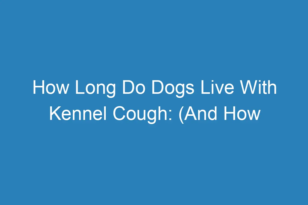 How Long Do Dogs Live With Kennel Cough (And How To Manage It)