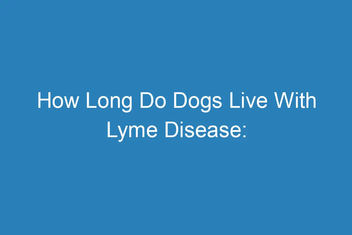 How Long Do Dogs Live With Lyme Disease (Symptoms, Tratment, And