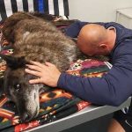 A Final Goodbye
