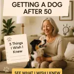 5 Things I Wish I Knew Before Getting a Dog After 50