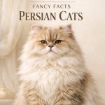 Fancy Facts About Persian Cats Luxury Breed Secrets