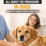 What Is Spaying in Dogs Before First Heat?