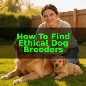 How to Find Ethical Dog Breeders
