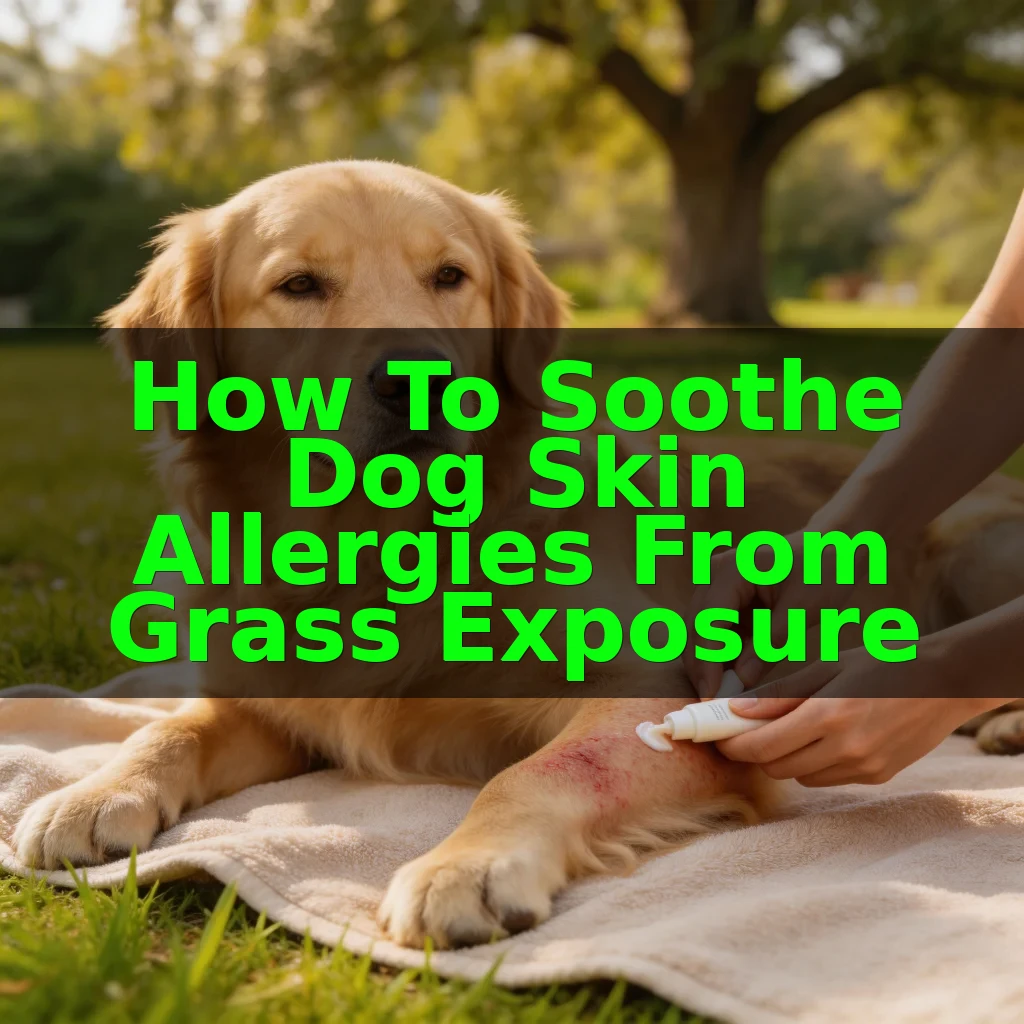 How to Soothe Dog Skin Allergies from Grass Exposure