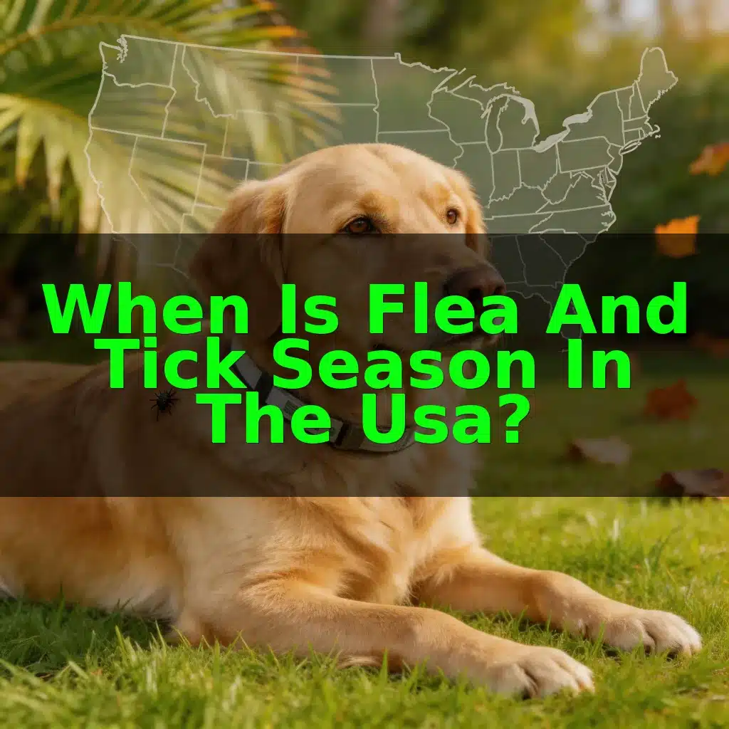 When Is Flea And Tick Season In The USA?