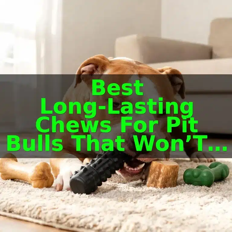Best Long-Lasting Chews for Pit Bulls That Won’t Break Their Teeth