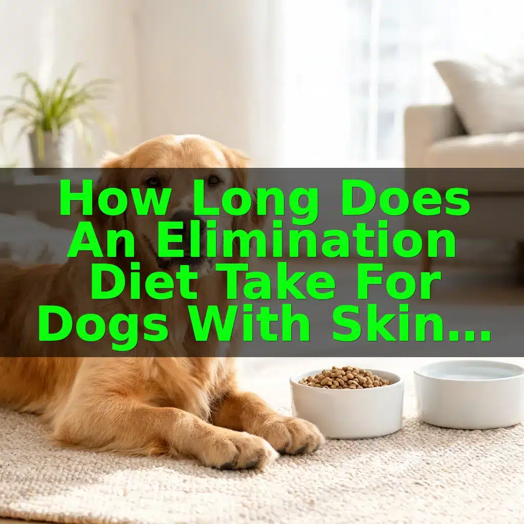 How Long Does an Elimination Diet Take for Dogs With Skin Allergies