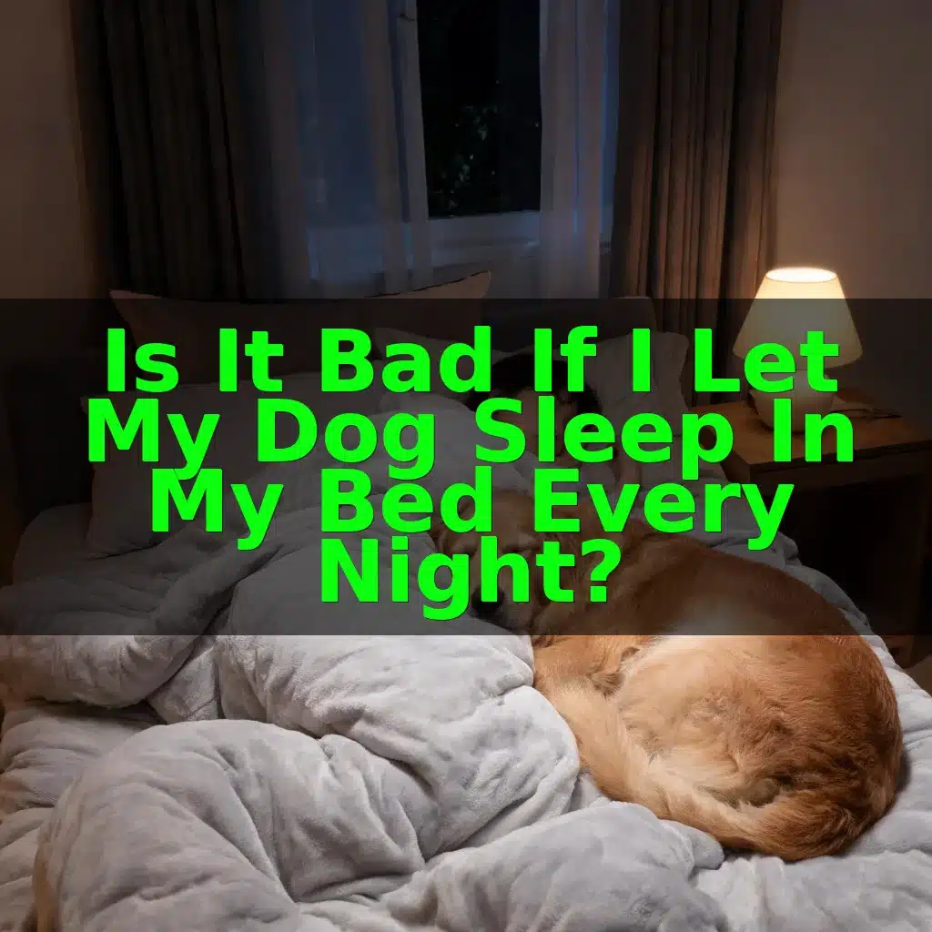 Is It Bad if I Let My Dog Sleep in My Bed Every Night?