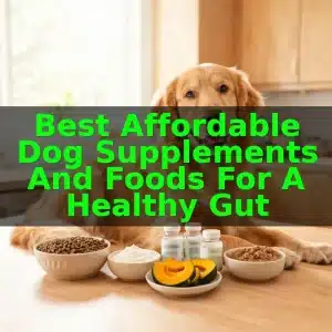 Best Affordable Dog Supplements and Foods for a Healthy Gut 1 Best Affordable Dog Supplements and Foods for a Healthy Gut