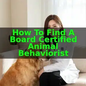 How to Find a Board Certified Animal Behaviorist 7 How to Find a Board Certified Animal Behaviorist