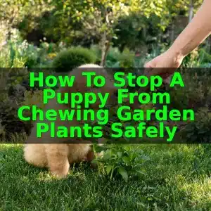 How to Stop a Puppy From Chewing Garden Plants Safely