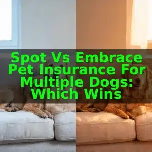 Spot vs Embrace Pet Insurance for Multiple Dogs: Which Wins 7 Spot vs Embrace Pet Insurance for Multiple Dogs: Which Wins