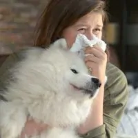 What Makes A Dog Hypoallergenic? A Guide to Understanding the Dangers of Dog Allergens