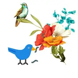 Bird Nutrition Guide