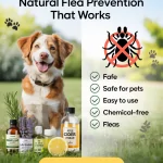 Best Ways to Prevent Fleas