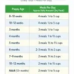Affenpinscher Puppy Feeding Chart By Age